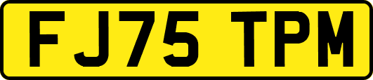 FJ75TPM