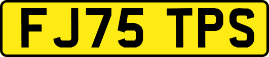 FJ75TPS