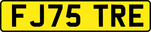 FJ75TRE