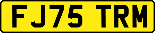 FJ75TRM