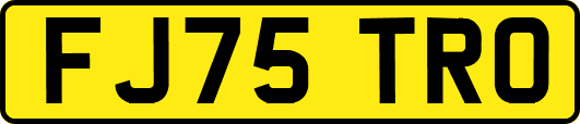 FJ75TRO