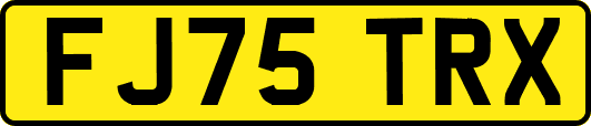 FJ75TRX