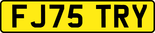 FJ75TRY