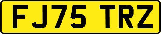 FJ75TRZ