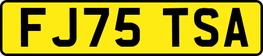 FJ75TSA