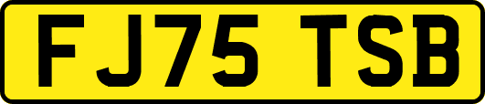 FJ75TSB