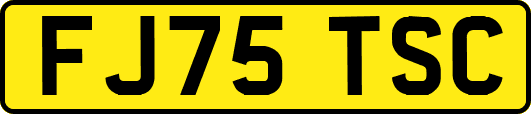 FJ75TSC
