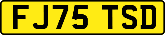 FJ75TSD