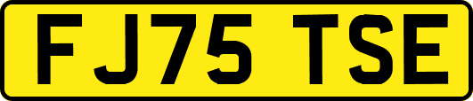 FJ75TSE