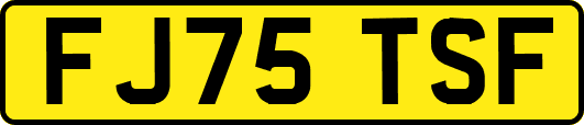 FJ75TSF