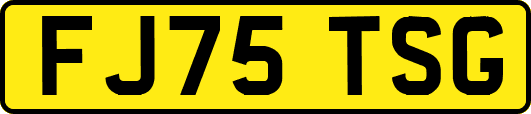 FJ75TSG