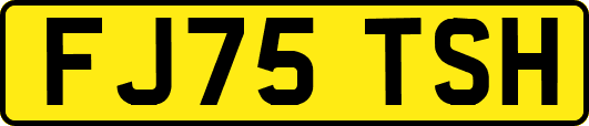 FJ75TSH