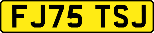 FJ75TSJ
