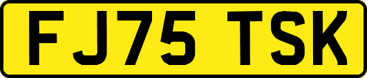 FJ75TSK