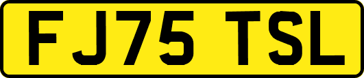 FJ75TSL