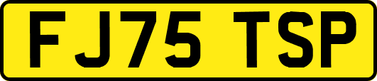 FJ75TSP