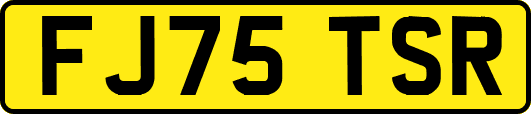 FJ75TSR