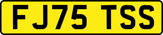 FJ75TSS