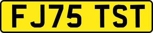FJ75TST