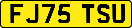 FJ75TSU