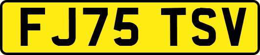 FJ75TSV