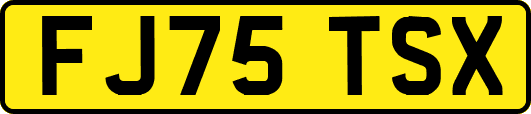 FJ75TSX