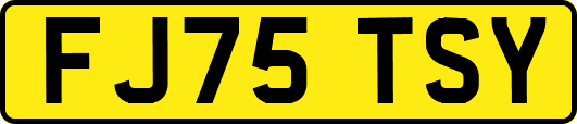 FJ75TSY