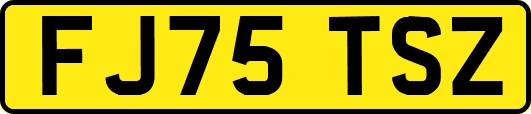 FJ75TSZ