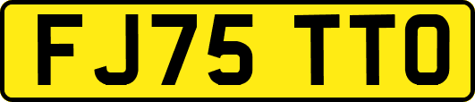 FJ75TTO