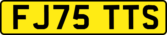 FJ75TTS