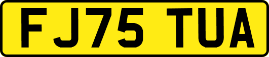 FJ75TUA