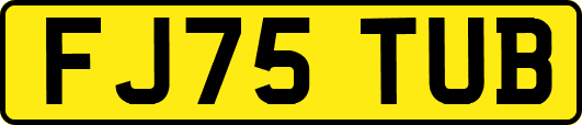 FJ75TUB