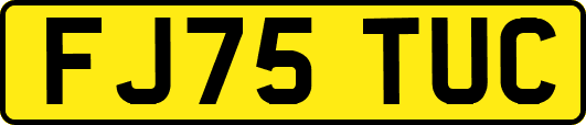 FJ75TUC