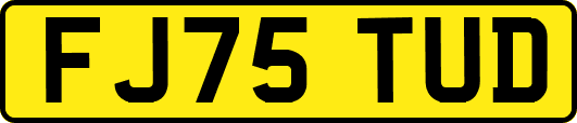 FJ75TUD