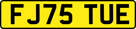 FJ75TUE