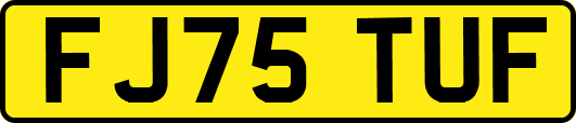 FJ75TUF