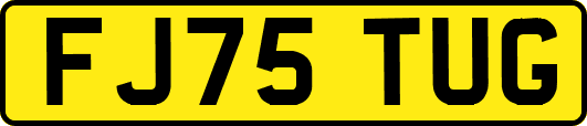 FJ75TUG