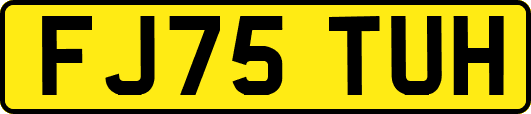 FJ75TUH