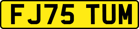 FJ75TUM