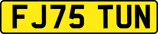 FJ75TUN