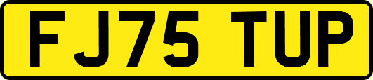 FJ75TUP