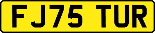 FJ75TUR