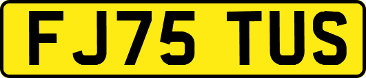 FJ75TUS