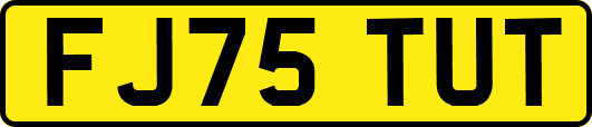 FJ75TUT