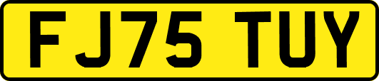 FJ75TUY