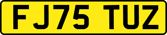FJ75TUZ