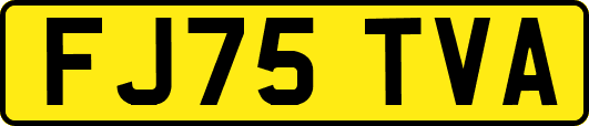 FJ75TVA