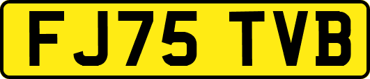FJ75TVB