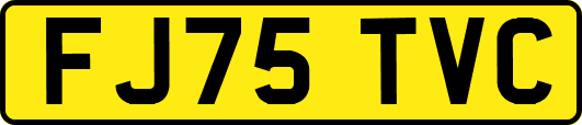 FJ75TVC
