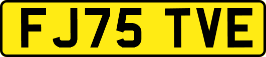FJ75TVE